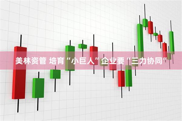 美林资管 培育“小巨人”企业要“三力协同”
