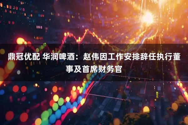 鼎冠优配 华润啤酒：赵伟因工作安排辞任执行董事及首席财务官