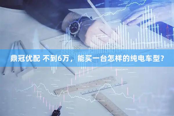 鼎冠优配 不到6万，能买一台怎样的纯电车型？